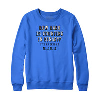 Counting in Binary Sweatshirt and Hoodie