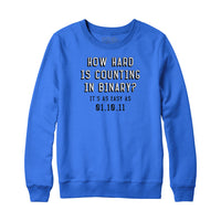 Counting in Binary Sweatshirt and Hoodie