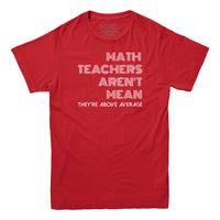 Math Teachers Aren't Mean T-shirt