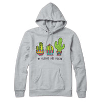 My Friends Are Pricks Sweatshirt Hoodie