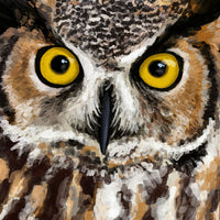 Alberta Great Horned Owl Provincial Bird T-shirt