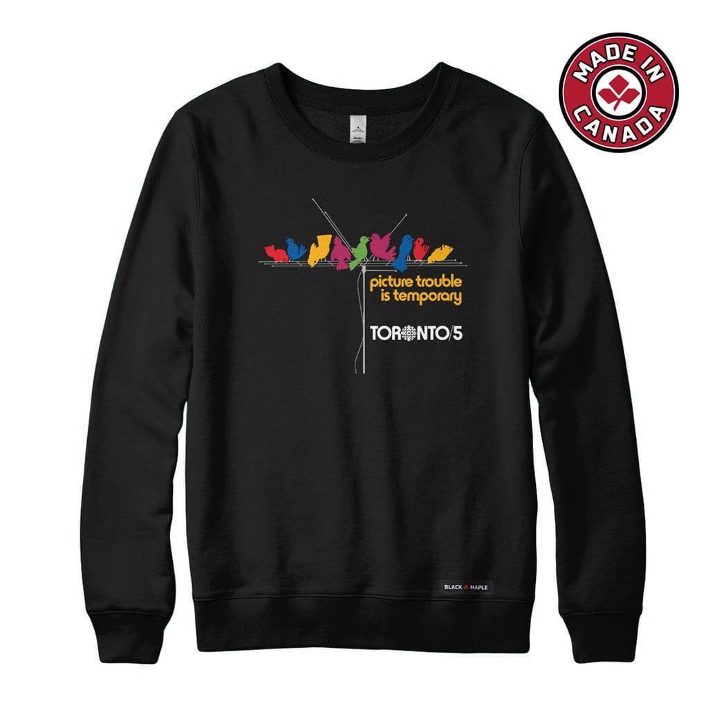 Picture Trouble Toronto 5 Sweatshirt or Hoodie