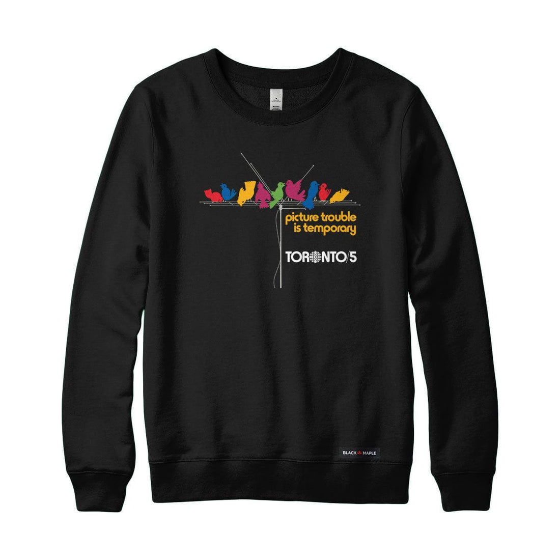 Picture Trouble Toronto 5 Sweatshirt or Hoodie