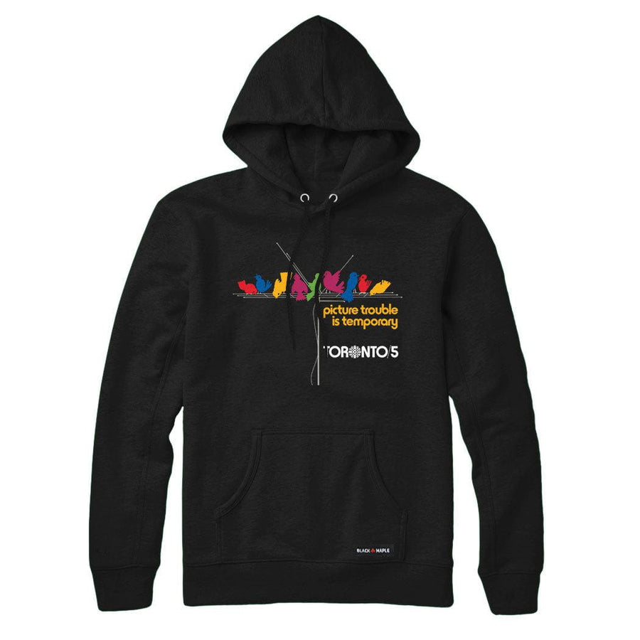 Picture Trouble Toronto 5 Sweatshirt or Hoodie