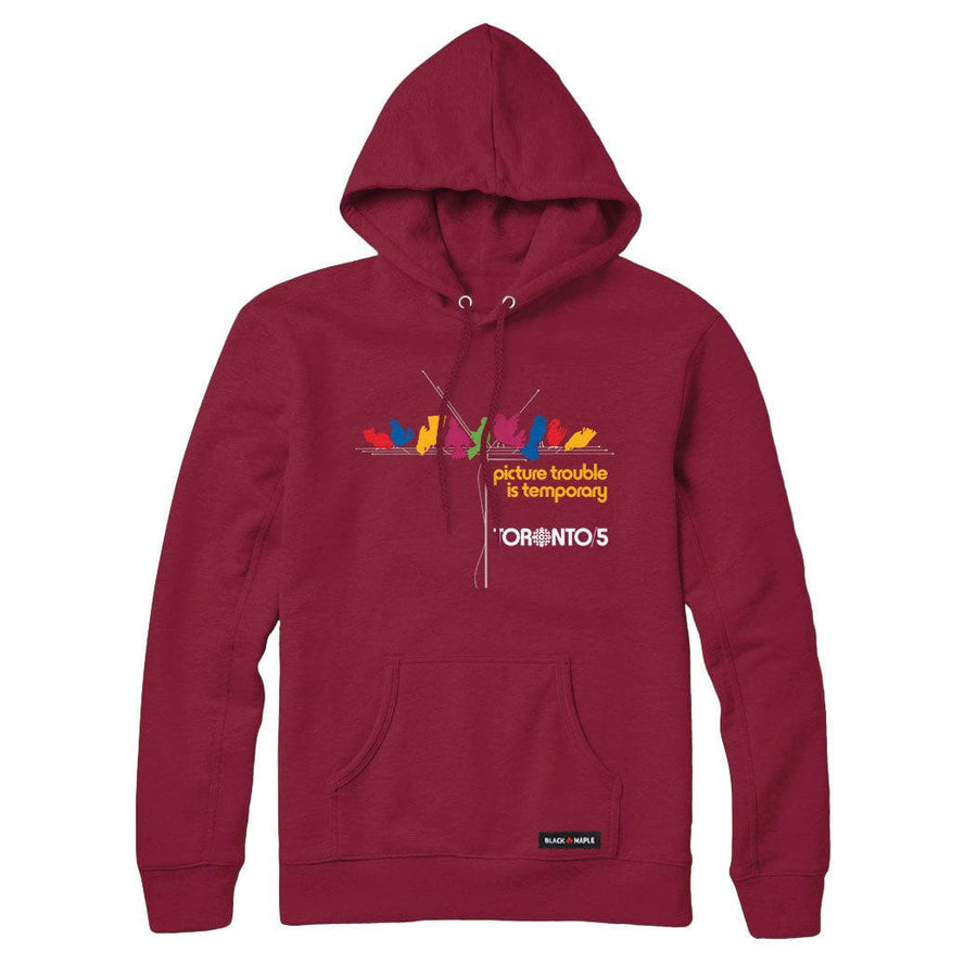 Picture Trouble Toronto 5 Sweatshirt or Hoodie